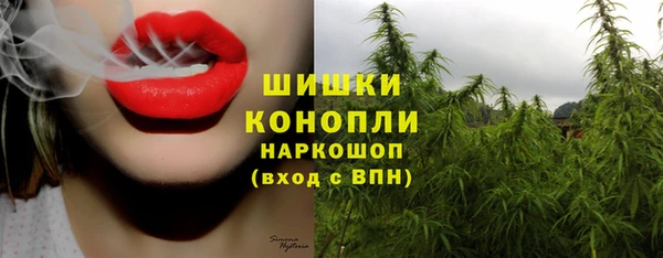 spice Инсар