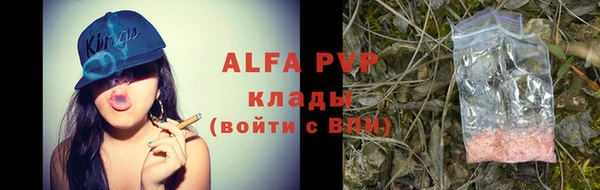 хмурый Инта