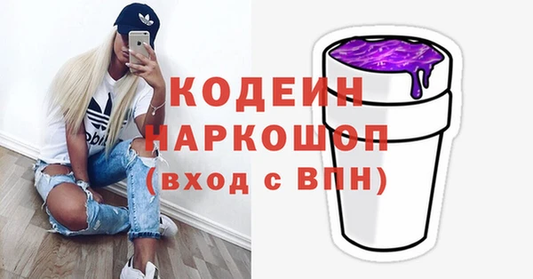 хмурый Инта