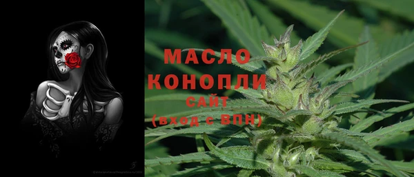 spice Инсар