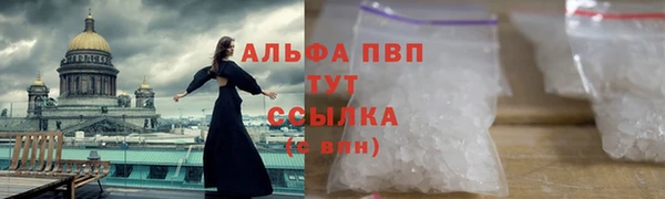 spice Инсар