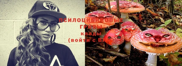 герыч Зеленокумск