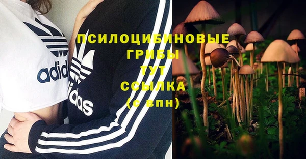 герыч Зеленокумск