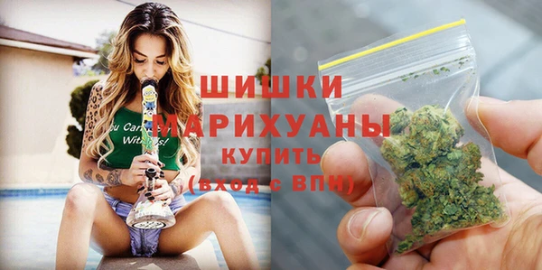 хмурый Инта