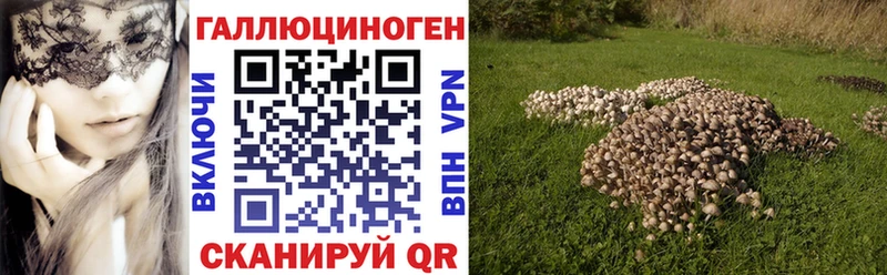 Псилоцибиновые грибы MAGIC MUSHROOMS купить Вихоревка
